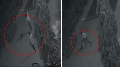 Dhar: Cruelty to the puppy, four people first threw stones at him, then picked him up and threw him in bushes