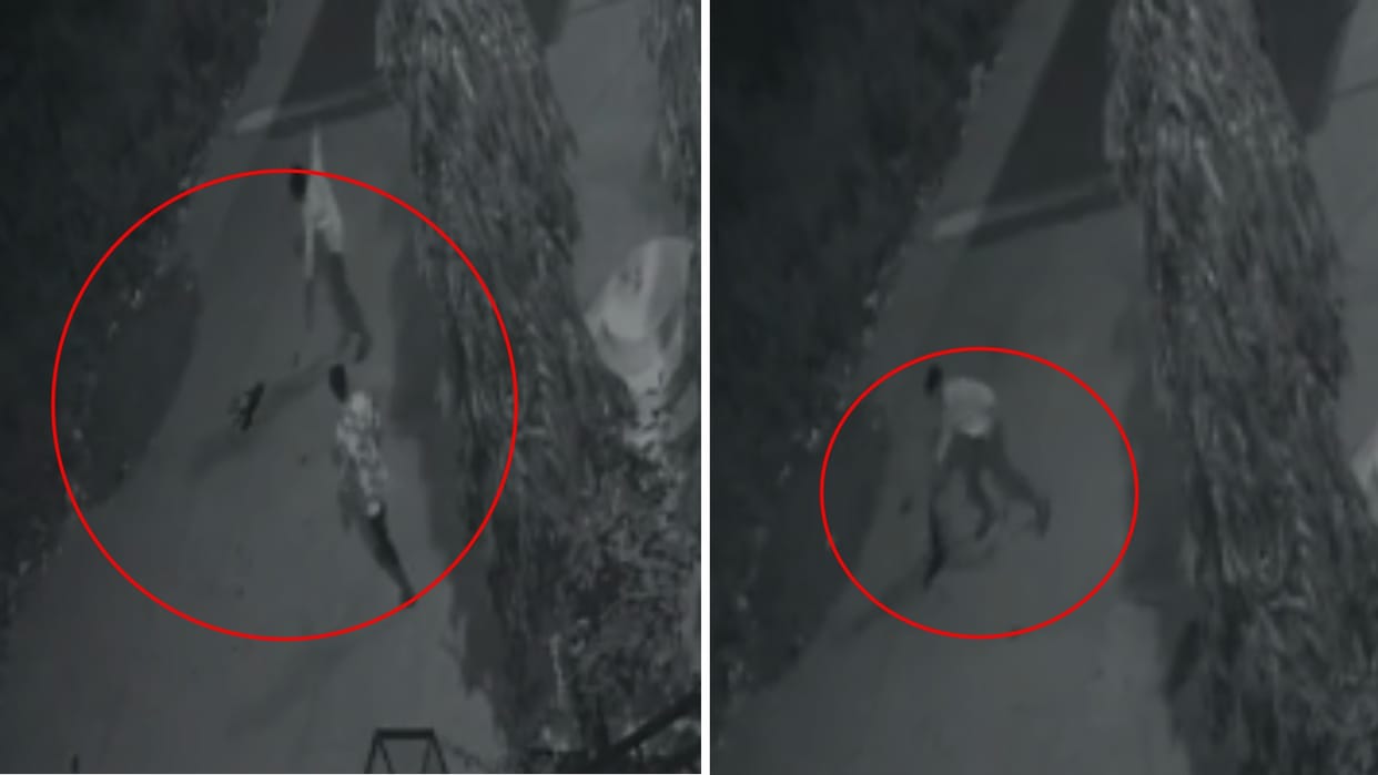Dhar: Cruelty to the puppy, four people first threw stones at him, then picked him up and threw him in bushes