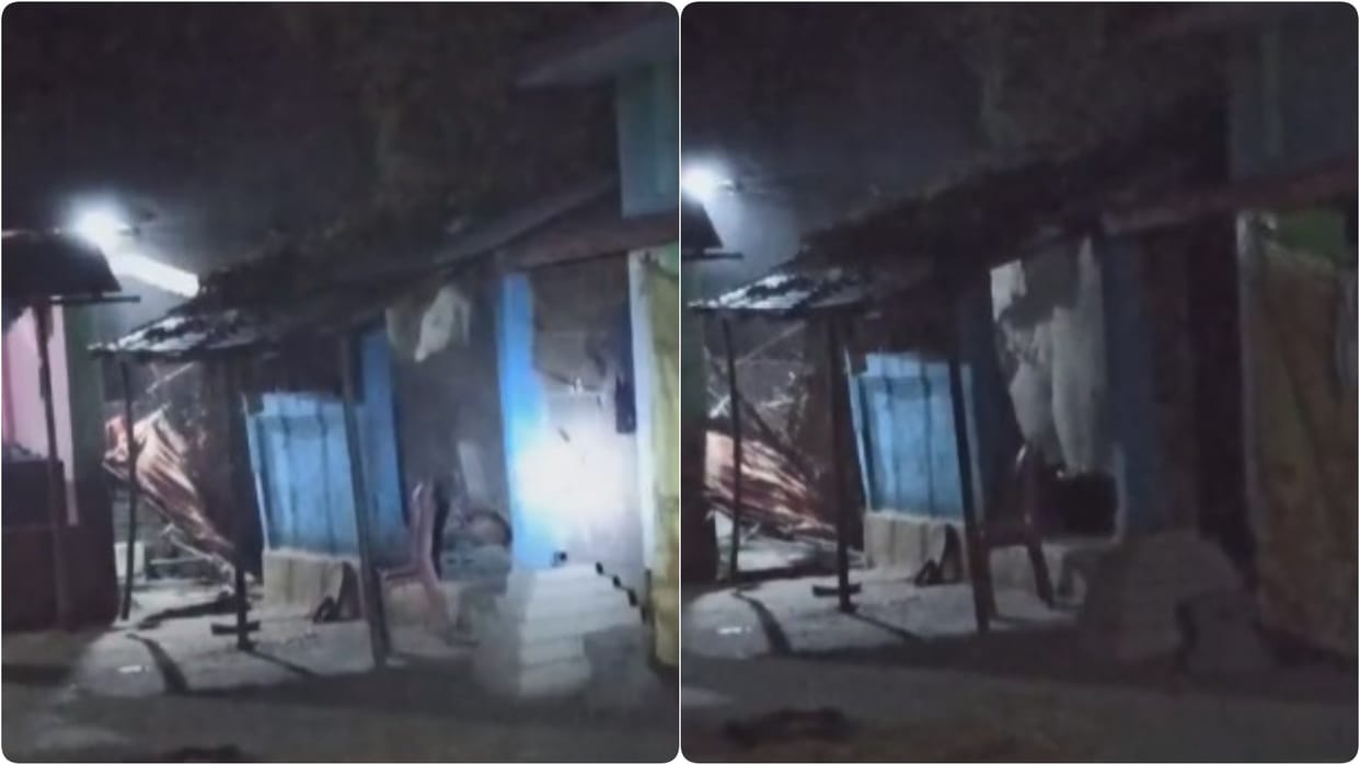 Kishanganj News: a herd of elephants again broke the houses of many people and also damaged crops
