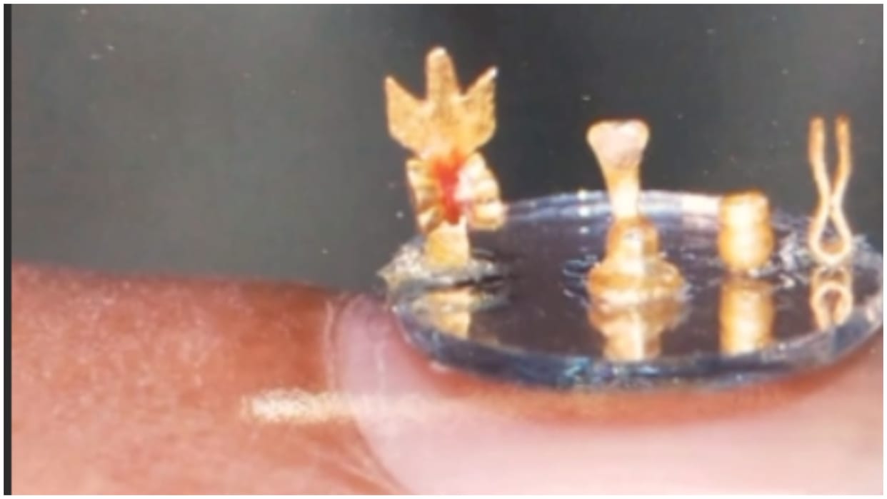 Mahashivratri: The world smallest Shivalinga made of gold Udaipur Shipbuilder Dr. Iqbal Sakka PM Modi News