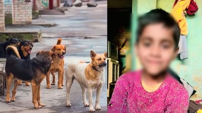 यूपी: कुत्ते की तरह भौंकने लगा सात साल का मासूम, बैठने से खाने तक बदला अंदाज; फिर हुई ऐसी मौत...कांप गए घरवाले Seven year old innocent boy started barking like dog changed his style Such death family members were shocked