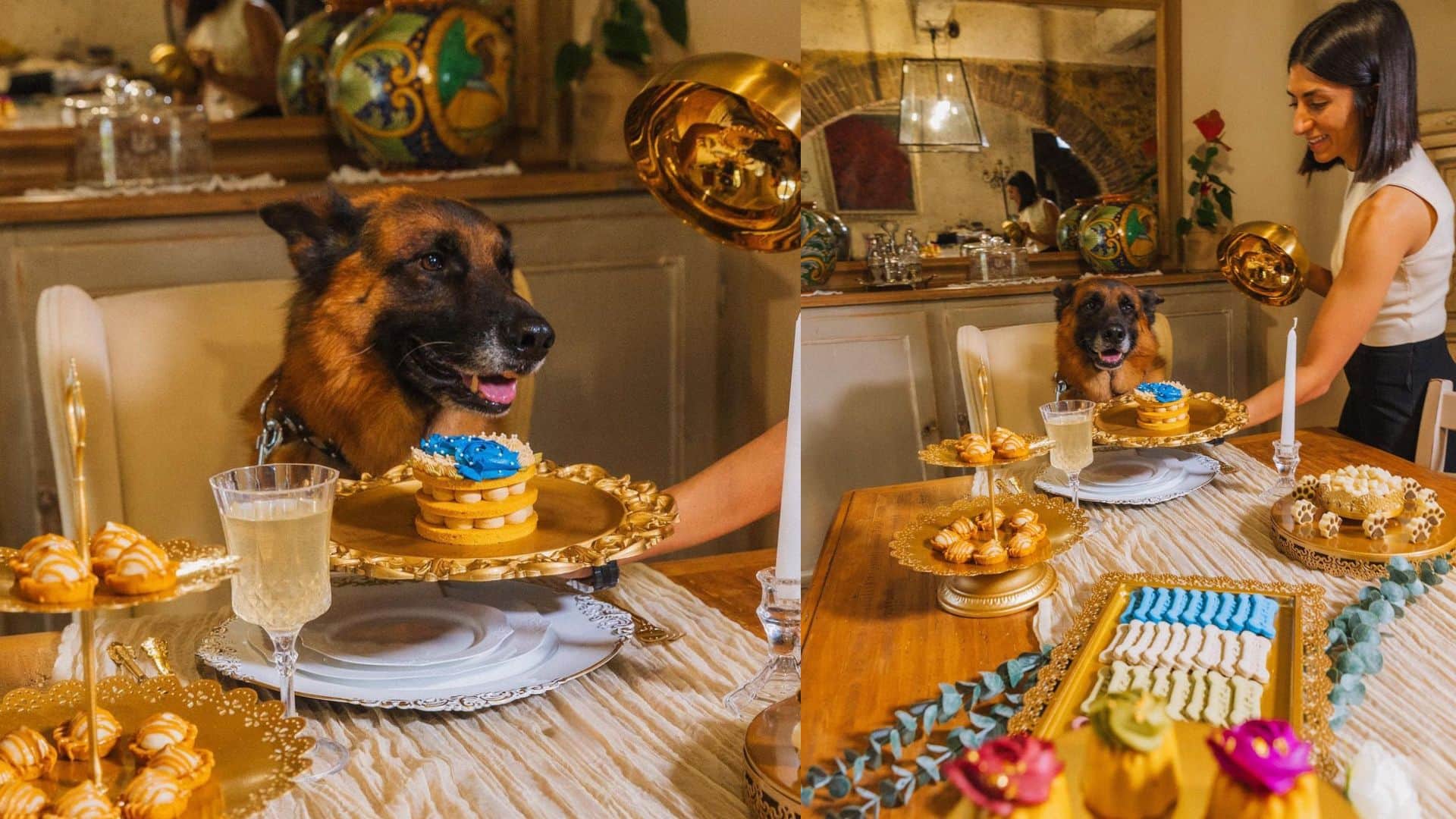 Richest Dog Of The World Gunther VI worth 30 billion know interesting facts