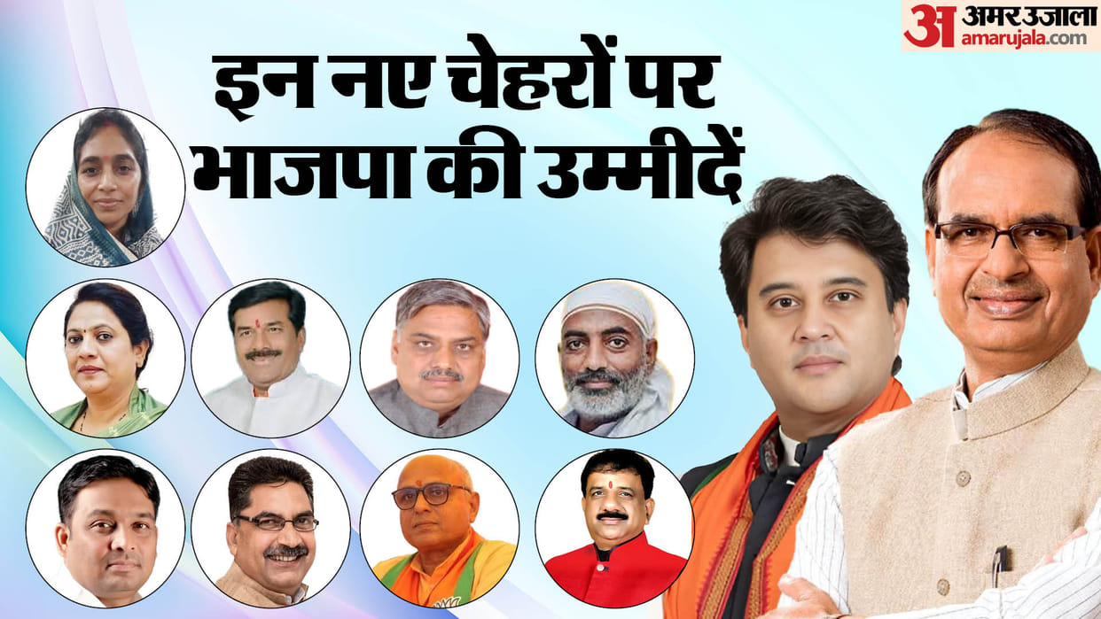 BJP fields 11 new candidates for Lok Sabha 2024 elections in MP