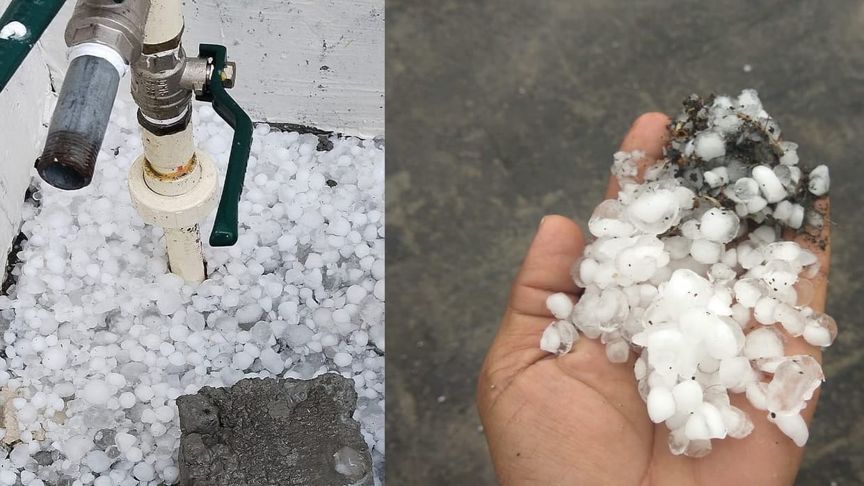 Hisar Weather, Along with rain hailstorm fell for third time in 11 days, farmers began to worry about fear of