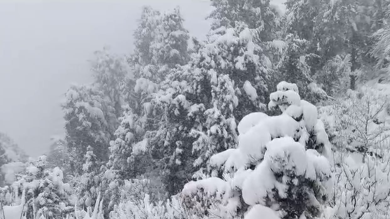 Jammu kashmir news: Weather created trouble in the jammu kashmir several kachha house collapse