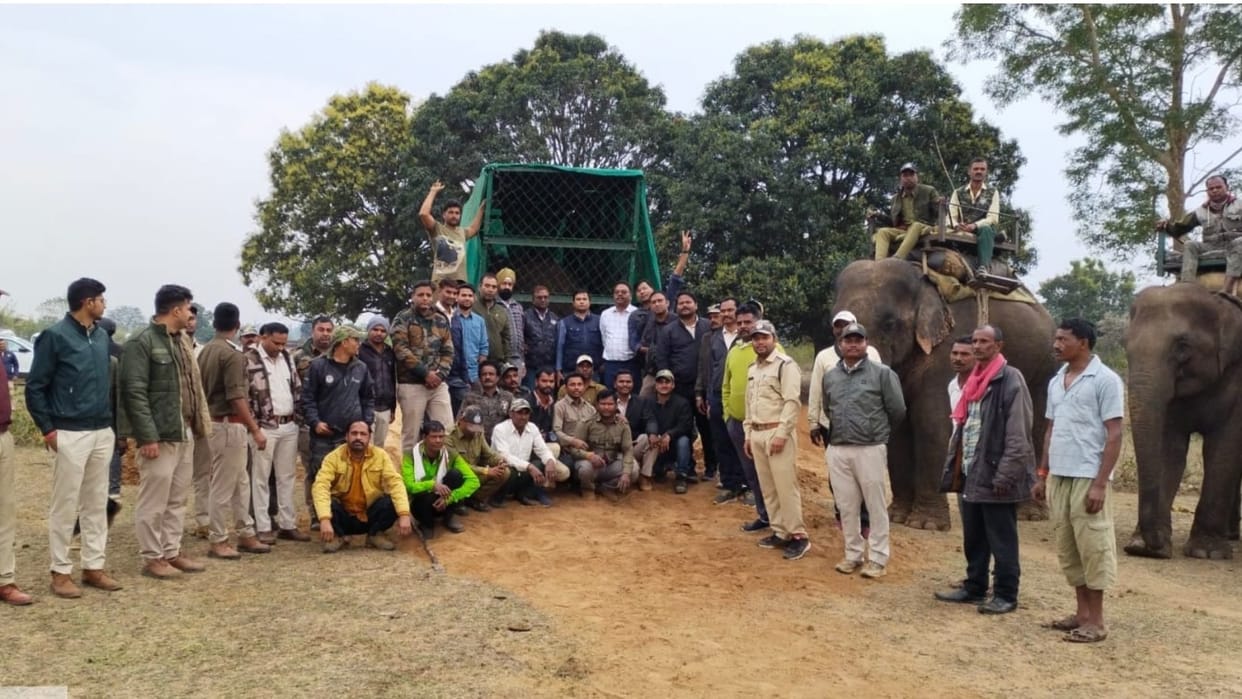 After a lot of hard work, the wild elephant was successfully rescued.