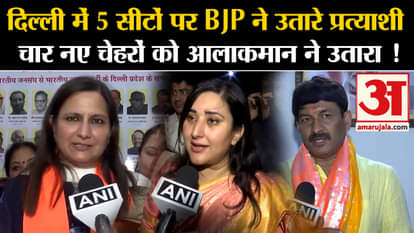 Lok Sabha Election: BJP has fielded candidates on 5 seats in Delhi. The high command has fielded four new face