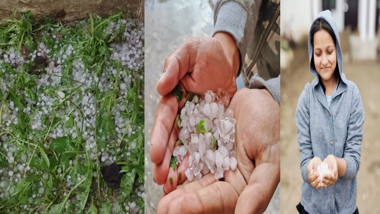 Heavy hailstorm along with rain in Meerut, crops will damaged