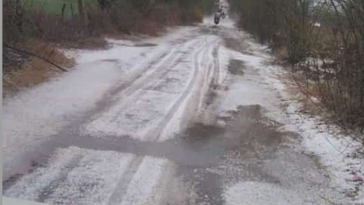 Hailstorm in Haryana: Agriculture Minister said - Farmers do not need to worry about losses