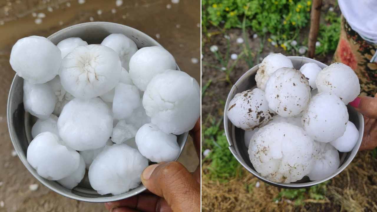 Punjab Weather Update Today: IMD Rainfall Alert, Hailstorm Caused Huge Damage To Crops In Punjab