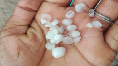 Rajasthan Weather Update: Unseasonal rain spoils the hard work of farmers, possibility of huge damage to crops