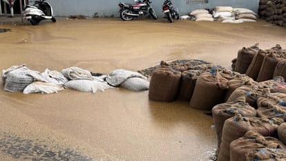 Rajasthan Weather Update: Unseasonal rain spoils the hard work of farmers, possibility of huge damage to crops