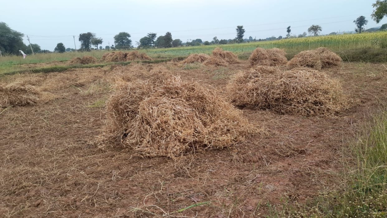 Weather patterns changed again in Damoh