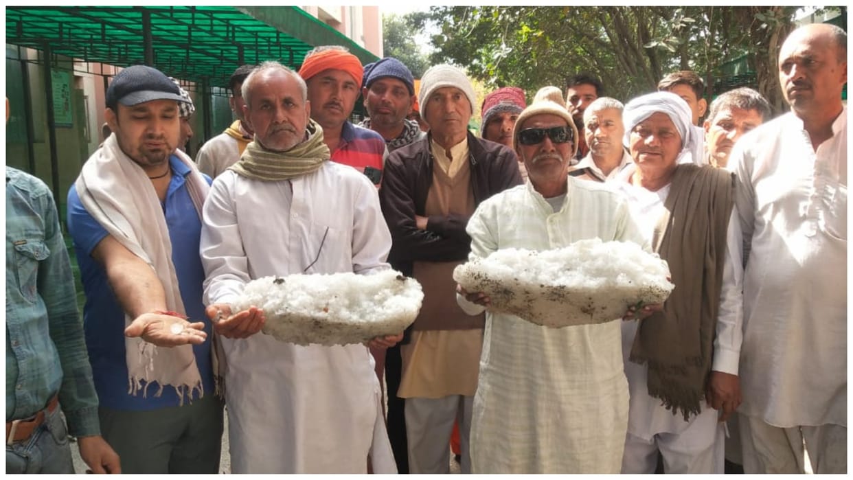 Hail did not melt even after 20 hours: Farmers reached SDM office carrying sacks