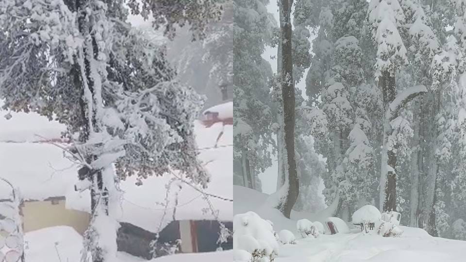 Snowfall in many upper areas of Himachal Pradesh