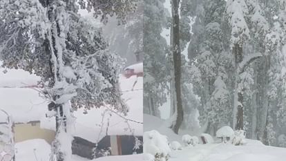 Himachal Weather: कुफरी और नारकंडा में हल्की और हाटू पीक में दो फीट तक हुई बर्फबारी, तापमान में गिरावट Snowfall in many upper areas of Himachal Pradesh