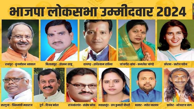 CG: बीजेपी ने 9 में से 7 सांसदों के काटे टिकट; लोकसभा चुनाव में बाजी पलटने के लिए इन नए चेहरों पर लगाया दांव