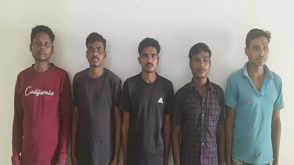 Police arrested five suspects who were running away after seeing the police in the forest in Bijapur