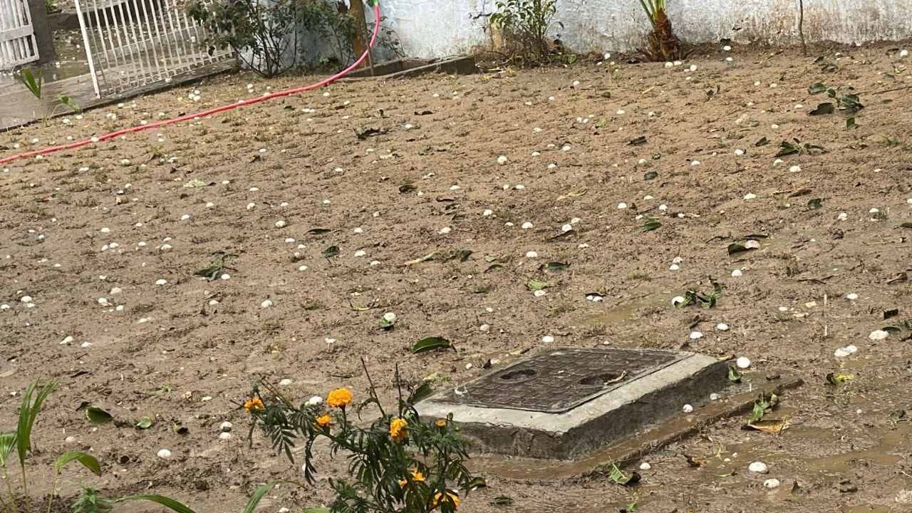 Punjab Weather Update Today: IMD Rainfall Alert, Hailstorm Caused Huge Damage To Crops In Punjab