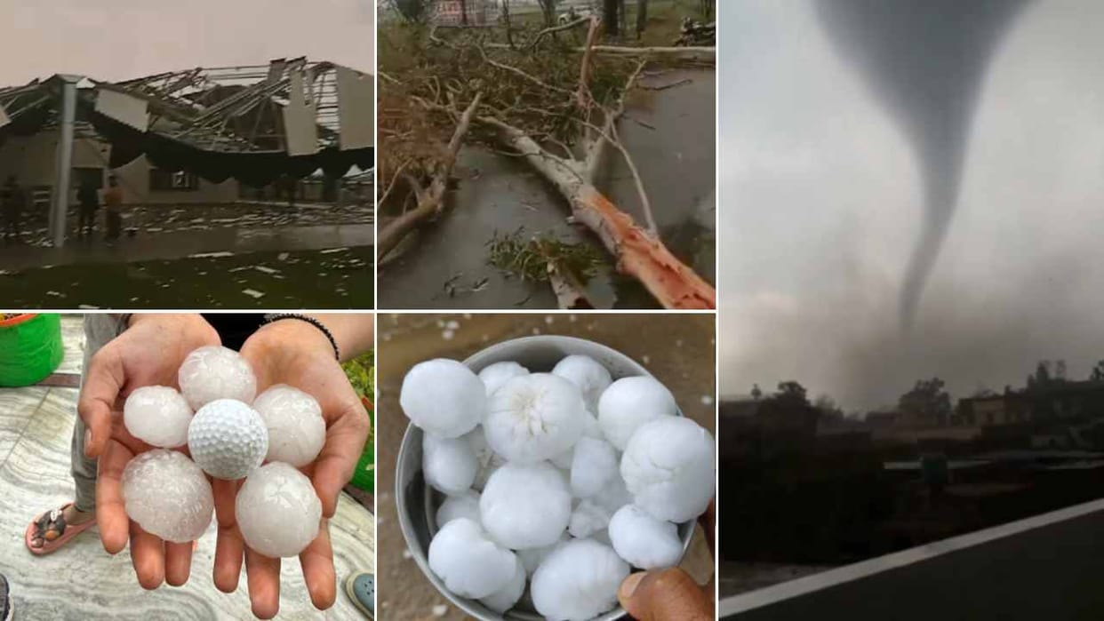Punjab Weather Update Today: IMD Rainfall Alert, Hailstorm Caused Huge Damage To Crops In Punjab