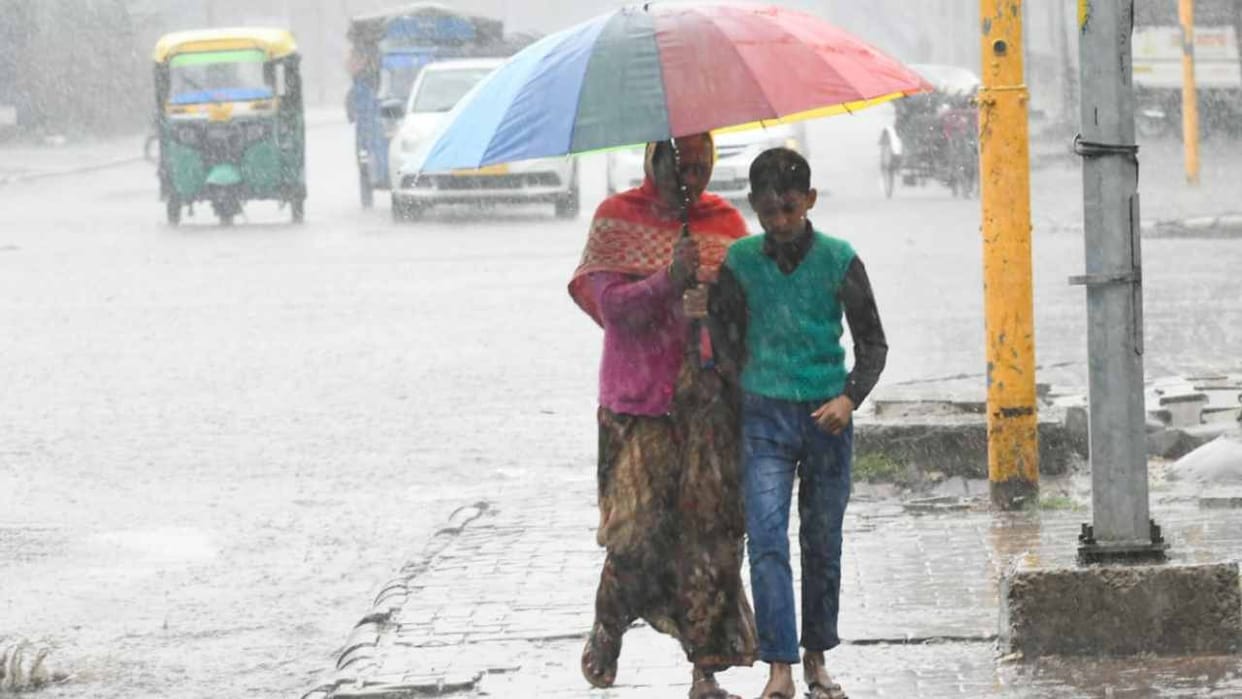 Western Disturbance will once again active in Punjab and Haryana