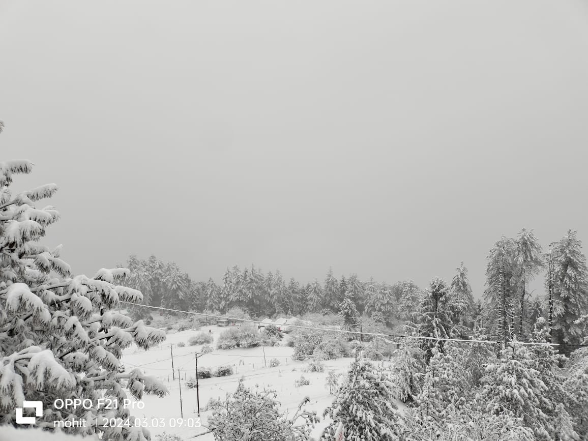 Uttarakhand Weather Update IMD alert of Rainfall and Snowfall on Hilly Area