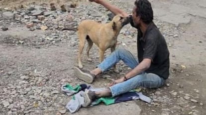 UP: dog kept guarding drunk owner from vehicle after he was lying unconscious middle of the road