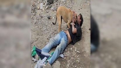 UP: dog kept guarding drunk owner from vehicle after he was lying unconscious middle of the road