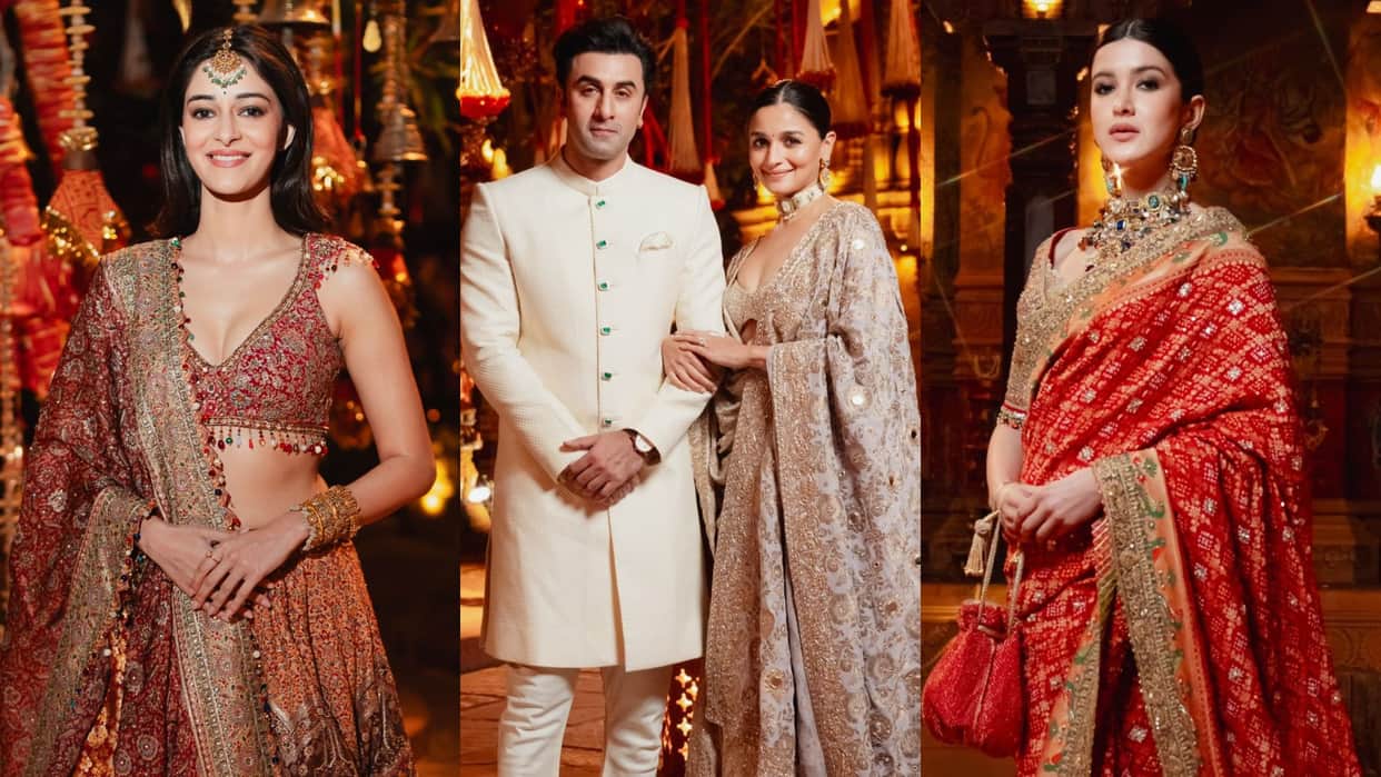 Anant Radhika Pre Wedding photos last day Celebrity Look alia bhatt ananya panday Madhuri dixit