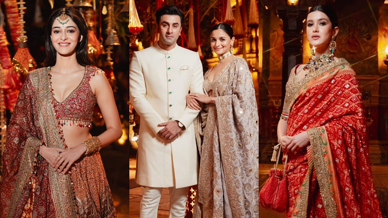Anant Radhika Pre Wedding photos last day Celebrity Look alia bhatt ananya panday Madhuri dixit