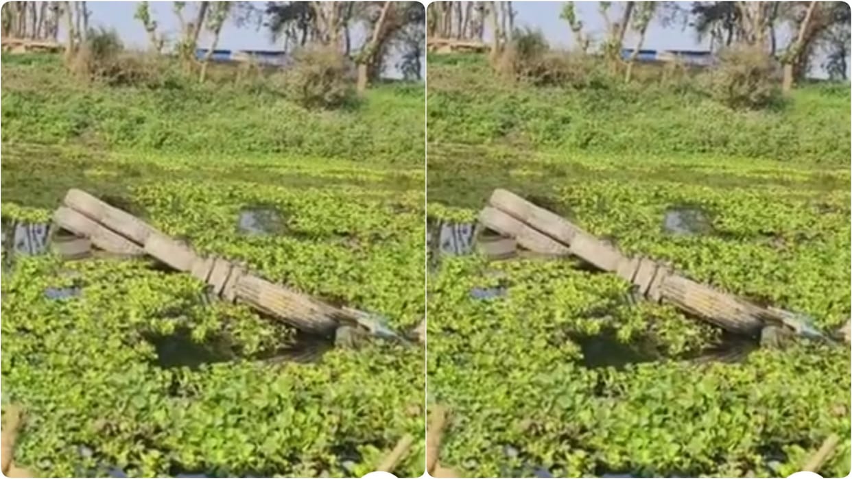 Bihar News: Truck laden with rebar fell into Kamla river in Darbhanga; Truck driver and attendant are safe