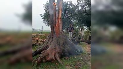 Rain with strong winds, crops destroyed by hail, roads covered with mud