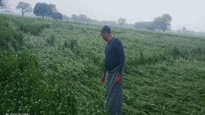 Rain with strong winds, crops destroyed by hail, roads covered with mud