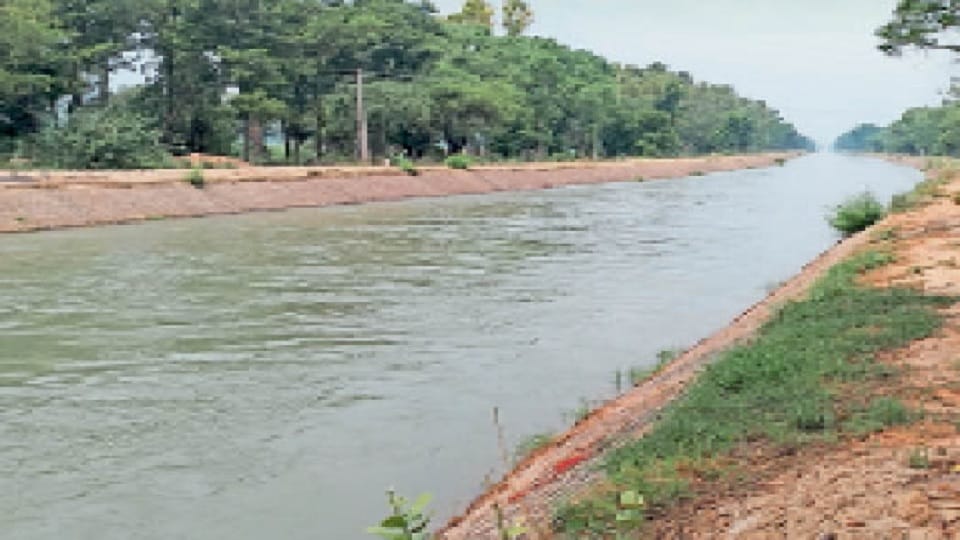 canal closure will remain for 24 days Due to cleaning of Bhakra Canal in Hisar