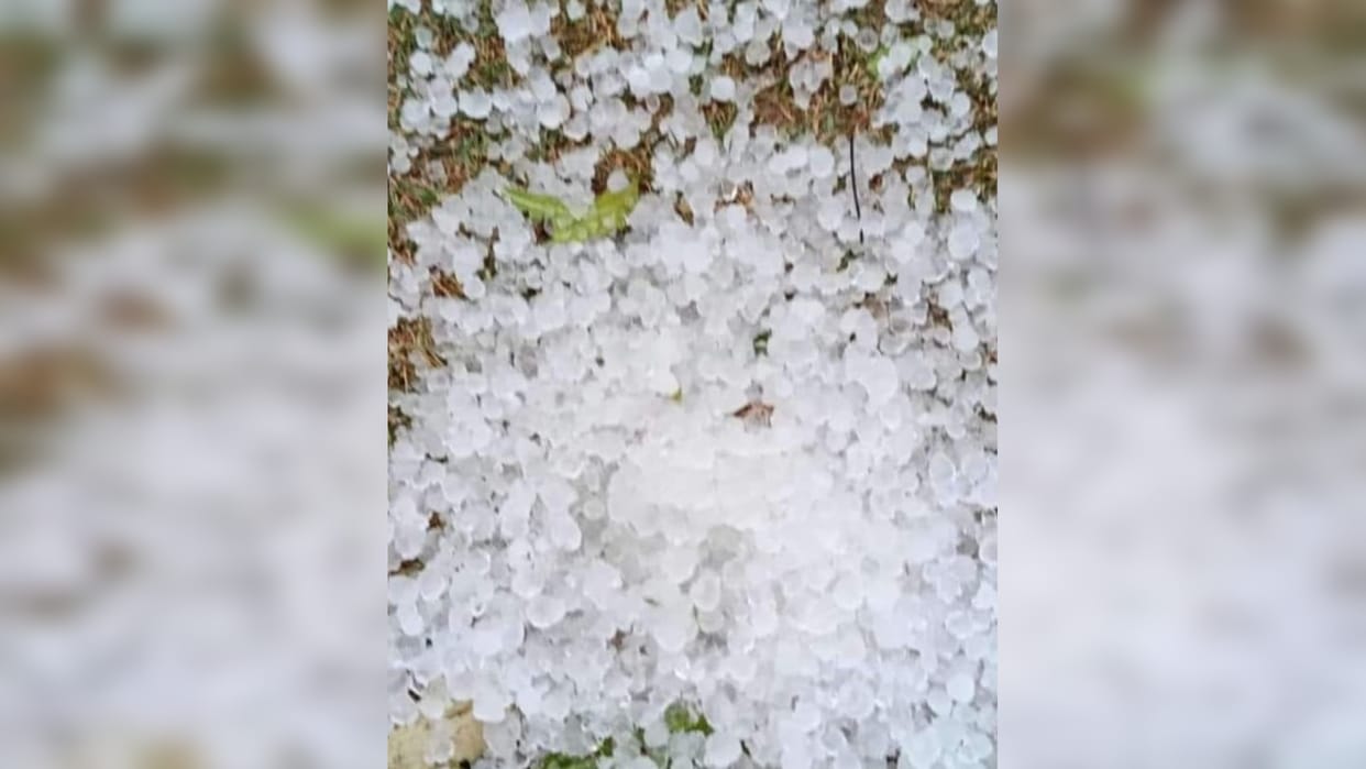 Rain with strong winds, crops destroyed by hail, roads covered with mud