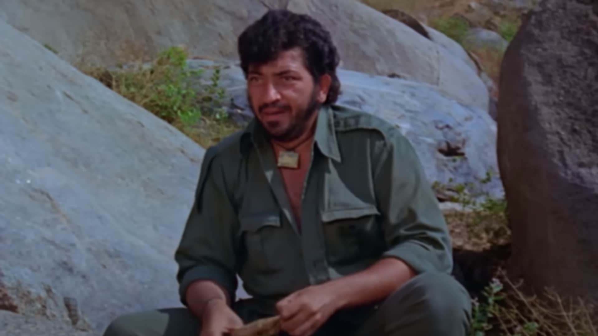 Villain overshadow hero in these movies Padmavat darr ek villain sholay animal
