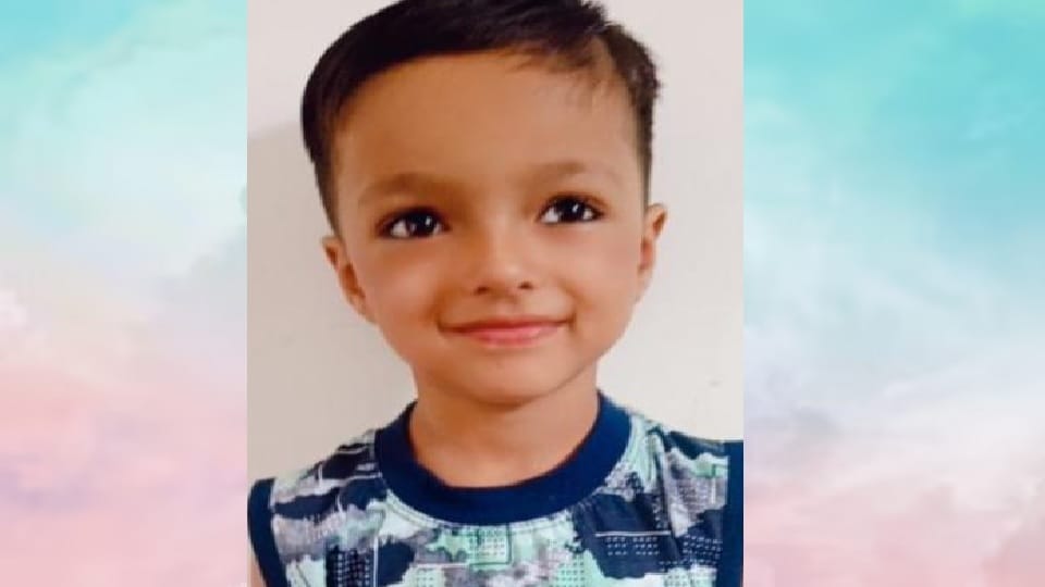 Child dies in dog attack in Amroha, grandmother could not bear shock, dies of heart attack