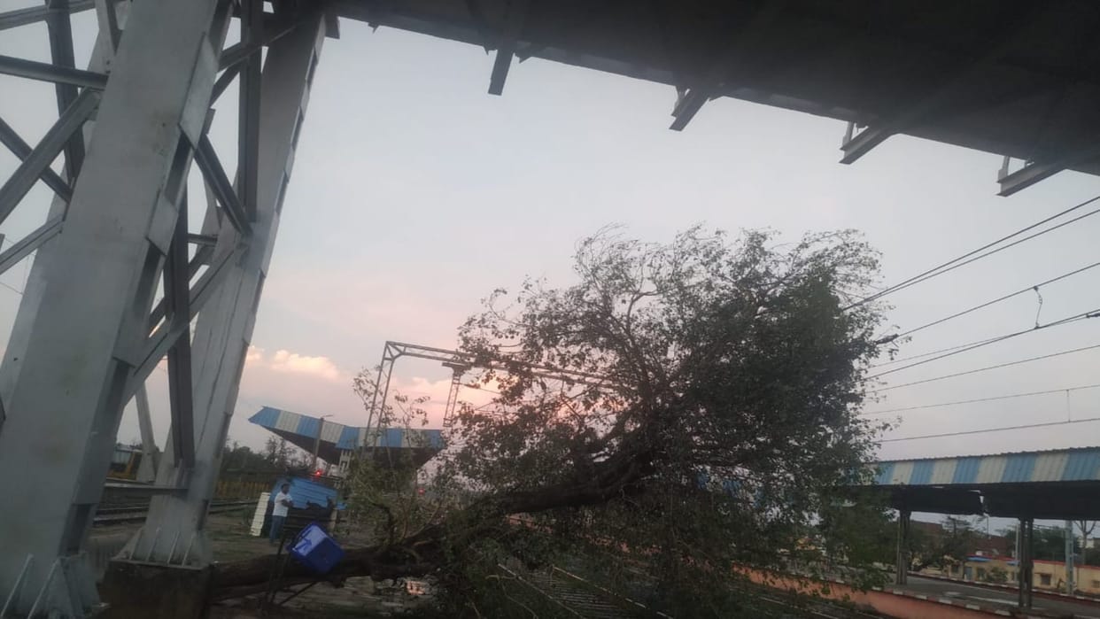 Tree fell on railway line of Sagoni station due to strong storm