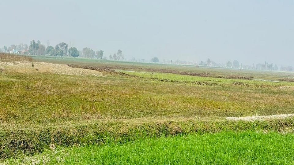 Chhitupur lake will become a tourist destination with Rs 4 crore