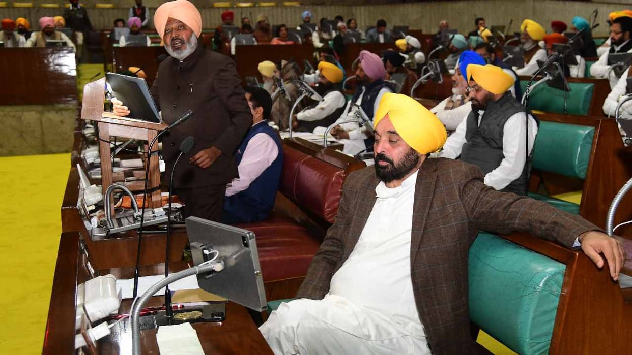 Punjab government special focus on agriculture sector in budget 2024