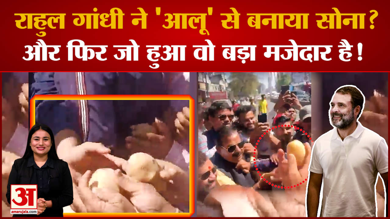 Bharat Jodo Nyay Yatra में क्या सच में Rahul Gandhi ने 'आलू' से बनाया सोना? Video उड़ा देगा होश!