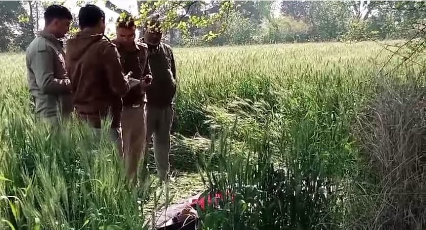 The body of a young man found hanging on a tree in the field, murder or suicide, Police engaged in investigati