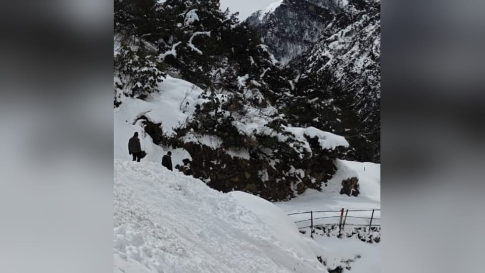 Uttarakhand Snow removing work started from 16 Kilometers Kedarnath walking route From Gaurikund Photos