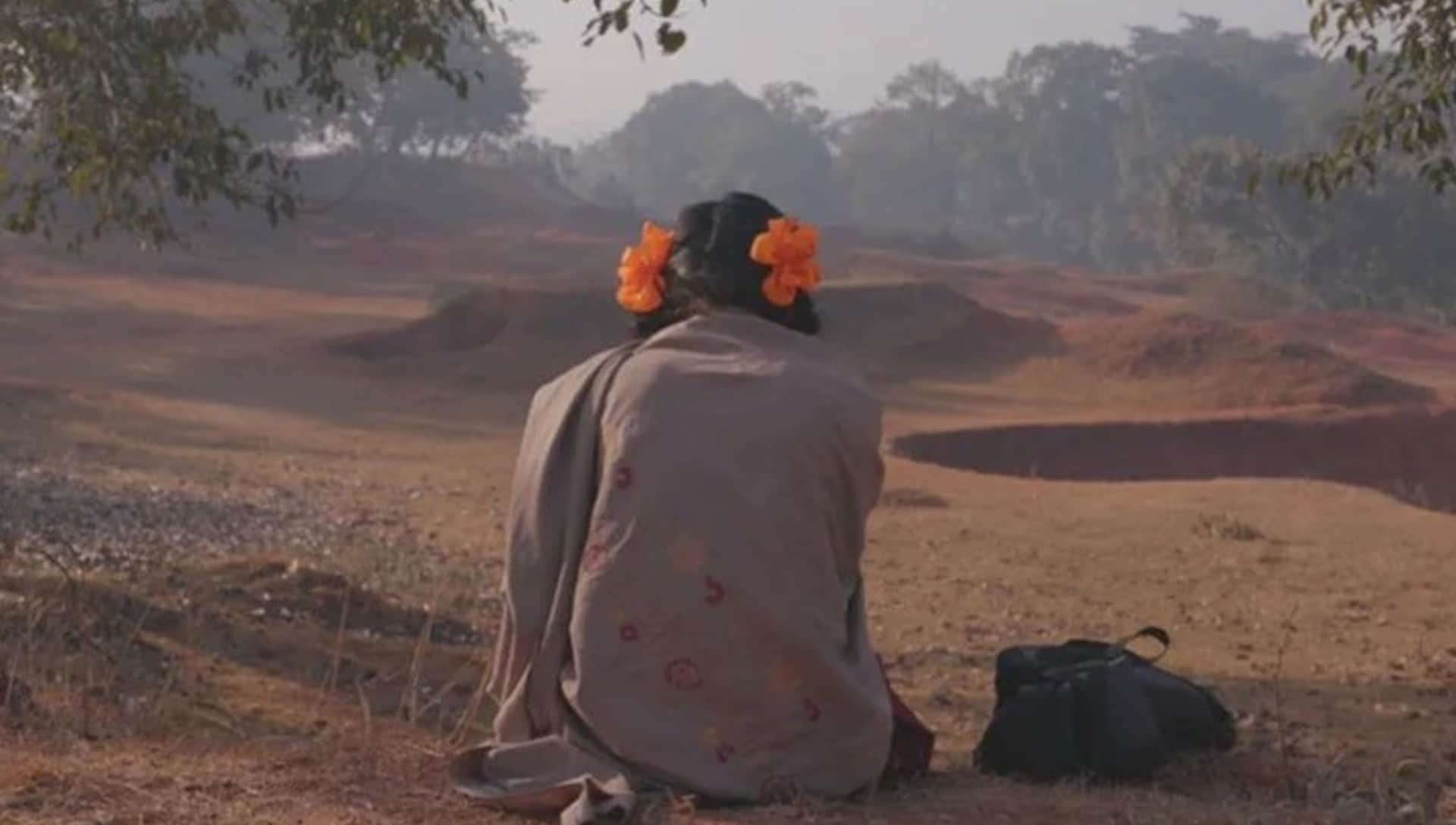 from 'mother india' to 'to kill a tiger' these are the indian movies nominated for oscars so far