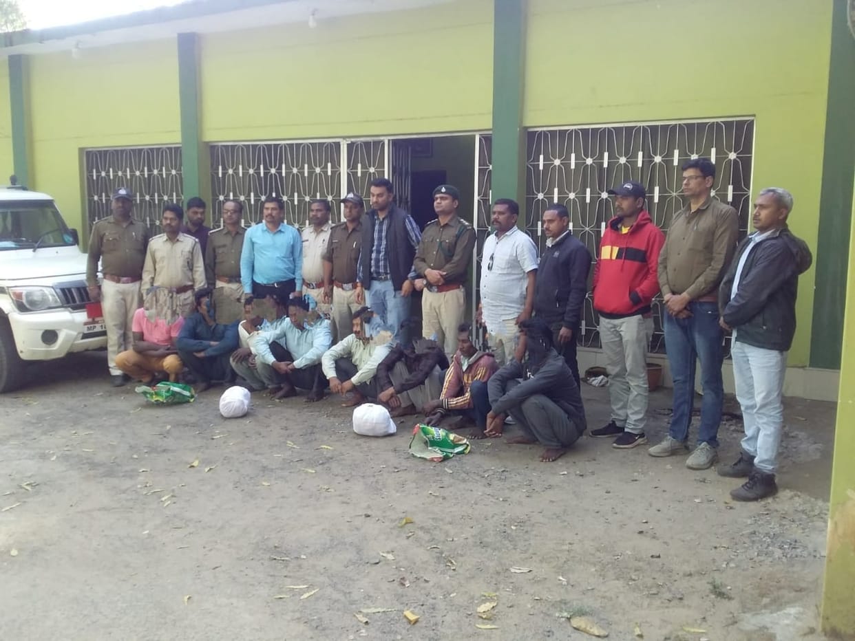 Bandhavgarh Tiger Reserve: Eight accused arrested for smuggling animals, used to kill and sell wild animals