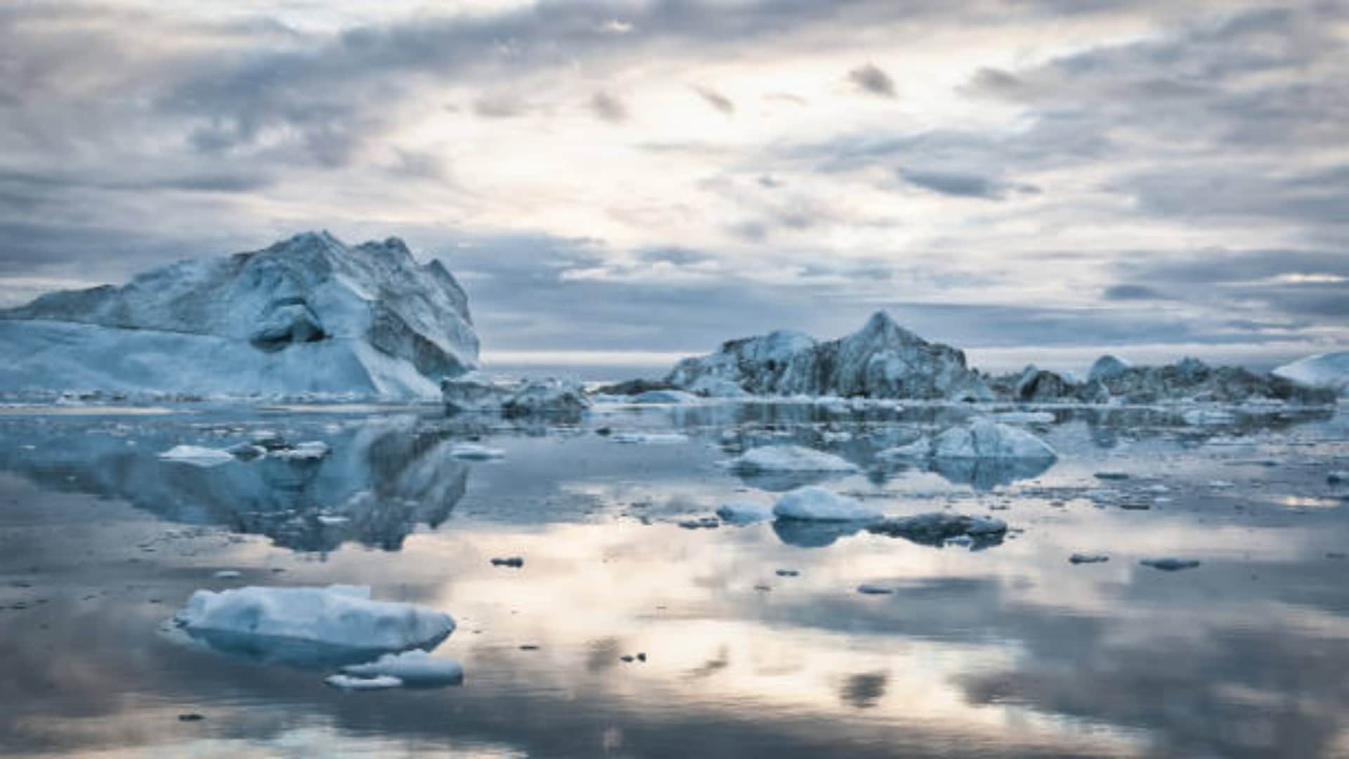 Arctic Ocean Will Be Ice Free New Study Found What It Mean And How Effect On Ecosystem