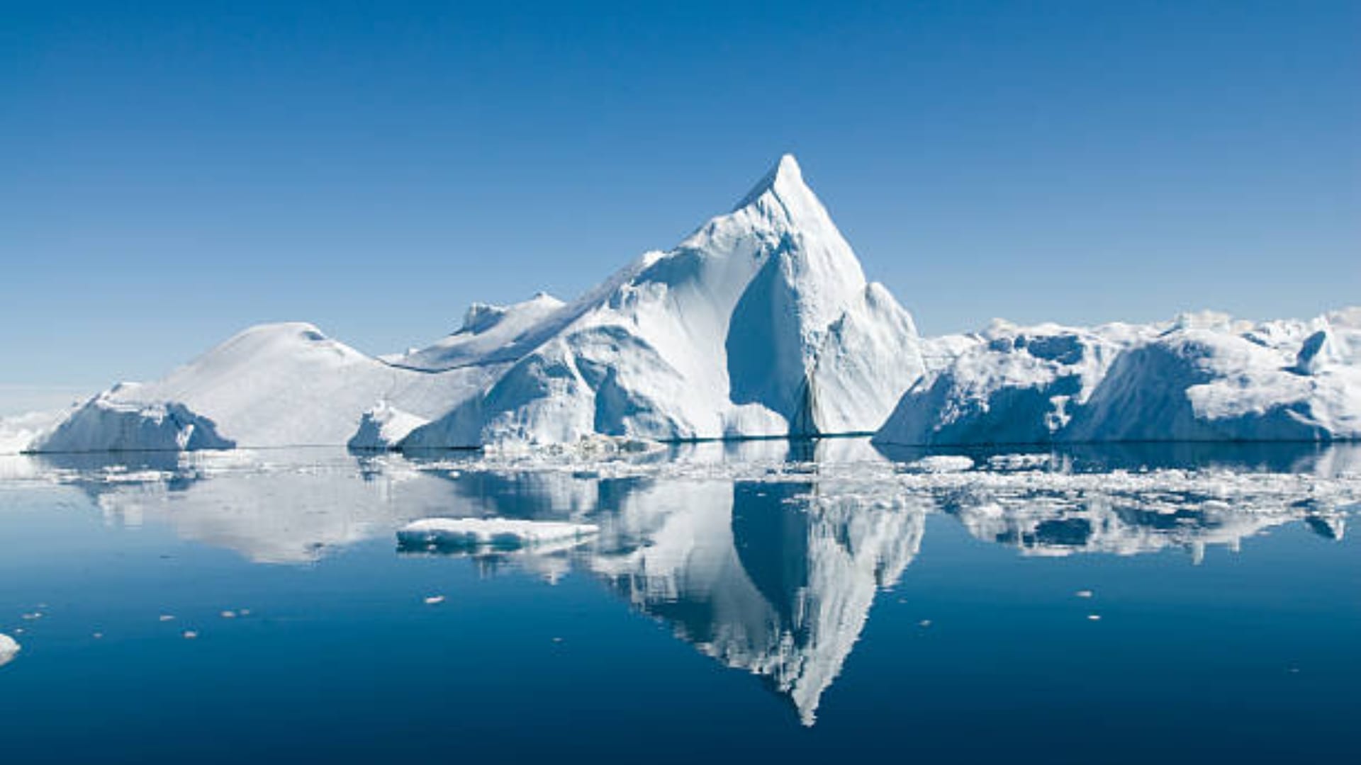 Arctic Ocean Will Be Ice Free New Study Found What It Mean And How Effect On Ecosystem