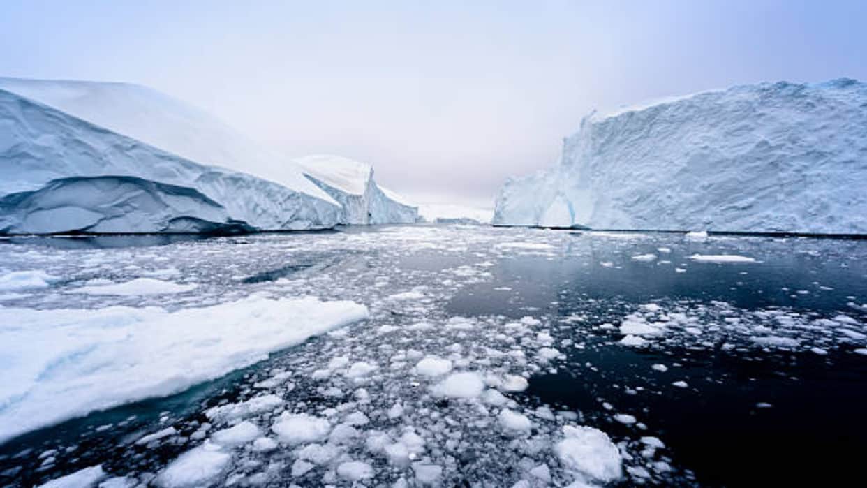 Arctic Ocean Will Be Ice Free New Study Found What It Mean And How Effect On Ecosystem