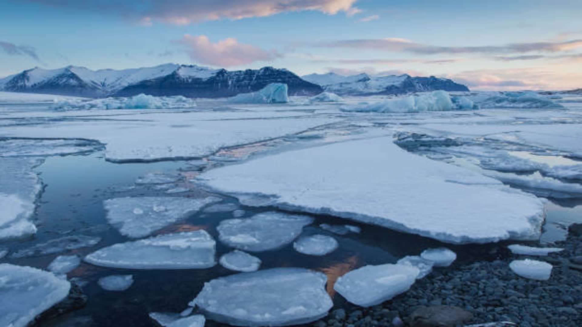 Arctic Ocean Will Be Ice Free New Study Found What It Mean And How Effect On Ecosystem