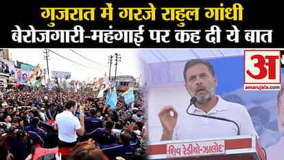 Bharat Jodo Nyay Yatra: Rahul Gandhi roared in Gujarat and said this on unemployment and inflation.